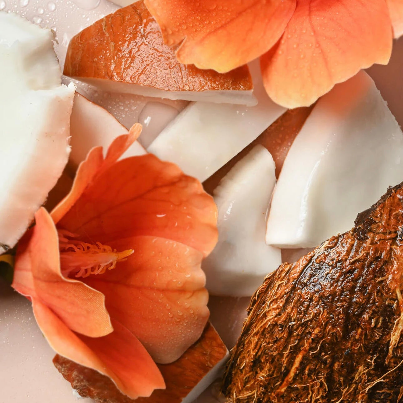EOS Shea Better Body Lotion Coconut Waters